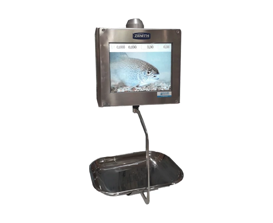 Custom Equa 7000 P FLYER